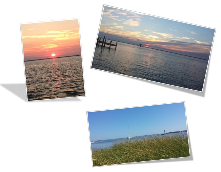 Southern Ocean Real Estate